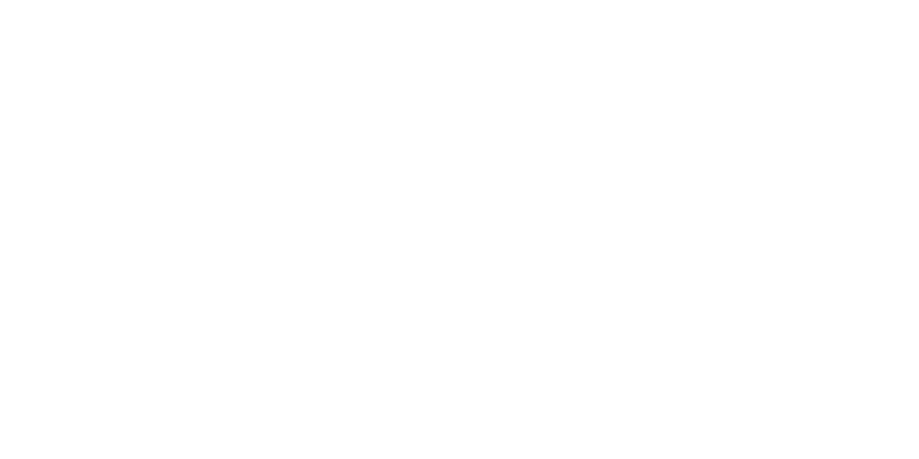 logo blanco annovi reverberi