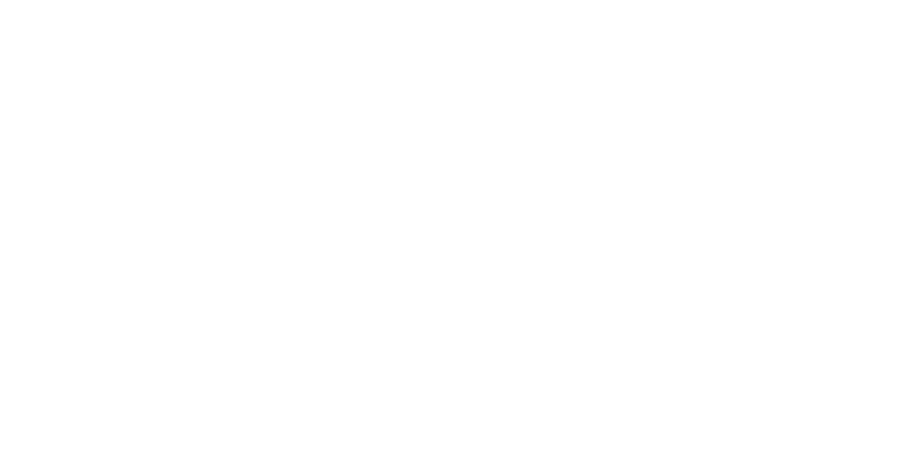 logo blanco ryobi